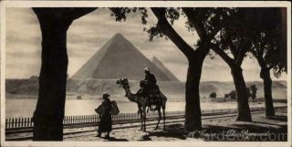Egypt Cairo The Pyramids Postcard Vintage Post Card