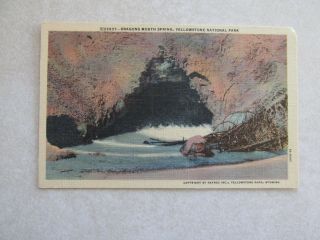 C584 Vintage Postcard Dragons Mouth Spring Yellowstone National Park