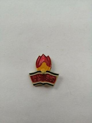 Dprk North Korea Badge Brosche Patriotic Propaganda Pin
