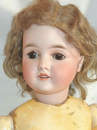 Antique German Bisque Head 26 " Doll Armand Marseille Queen Louise 100