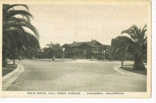 Vintage Postcard Palm Drive,  Hill Crest Avenue - Pasadena,  Ca