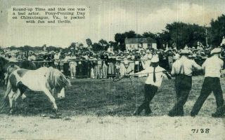 Chincoteague Va Virginia,  Round Up Time And Pony Penning Day,  Vintage Postcard