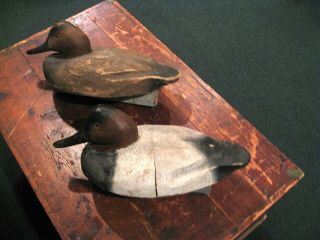 Vintage Gordon Pecor Fox Canvasback Duck Decoys,  W/weighted Keels