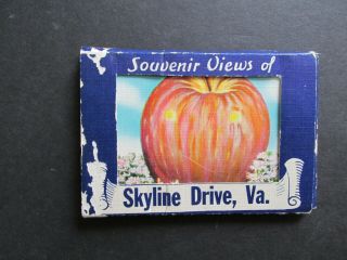 Vintage Souvenir Views Of Skyline Drive,  Va Miniature Post Cards