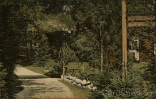 1912 Angola,  Ny Entrance To Pine Lodge Erie County York R.  U.  Blackney Vintage