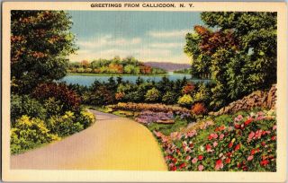 Greetings From Callicoon Ny Vintage Linen Postcard Q13