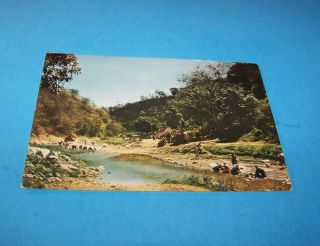 Haiti Vintage Postcard " On The Road To Jacmel "