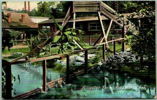 Vintage Hot Springs,  Arkansas Postcard " Alligator Farm " International Pc C1910s
