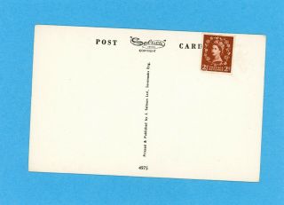 L.  R.  Steele Artist Signed Vintage Postcard - Salmon 2