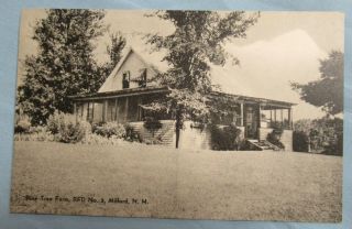Vintage Rppc Postcard Pine Tree Farm,  Rfd 2,  Milford,  Nh