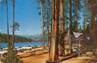 Hume Lake,  Ca Recreational Area Sierra Nevada,  California 1958 Vintage Postcard