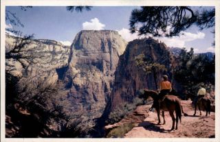 Horseback Riding Zion National Park Utah Great White Throne Vintage Postcard