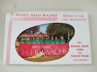 Vtg Florida Postcard Set Weeki Wachee " Spring Of The Live Mermaid ".  Eye Candy.