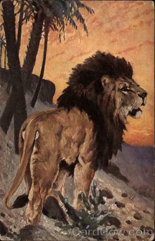 Painting Of A Lion Postcard Vintage Post Card