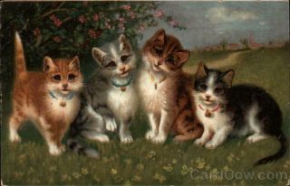 Four Cats In A Field Antique Postcard Vintage Post Card