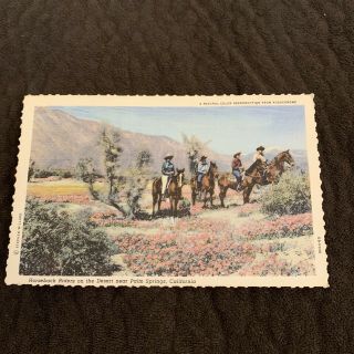 Vintage Greeting Post Card Horseback Riders Palm Springs California Desert