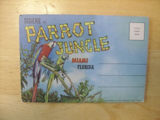Vintage Rare Souvenir Of Parrot Jungle Miami Florida Postcard Folder