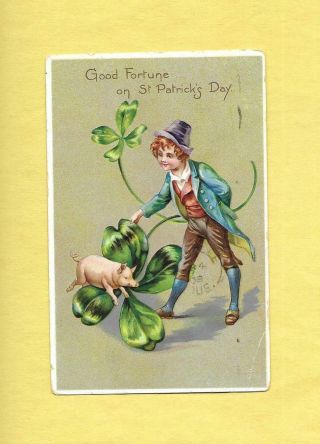 Irish Lad,  Pig,  4 - Leaf Clovers On Tuck Vintage 1908 St.  Patrick 
