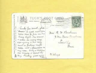 IRISH LAD,  PIG,  4 - LEAF CLOVERS On TUCK Vintage 1908 ST.  PATRICK ' S DAY Postcard 2