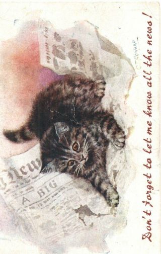 Vintage Art Postcard: Tabby Kitten Cat Playing With Newspaper By Ct Howard