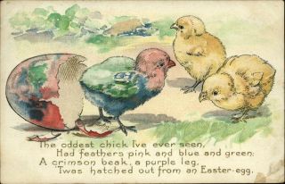 Easter Multi - Color Egg And Chick Yellow Chicks 1911 Vintage Postcard