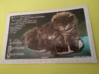 Vintage Cat Postcard.  Rppc.  Two Fluffy Kittens.  Birthday.  Mailed.  Embossed