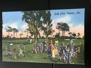 Vintage Postcard Golf Naples Florida Golf Club Linen Posted 1954