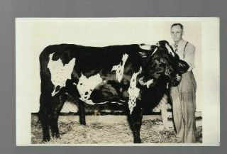 Vintage Postcard Rp Dolly Cow 2 Heads 4 Eyes 3 Horns 1936 San Diego Ca J Thomson
