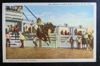 Vintage Postcard Rodeo Scene Frontier Days Cheyenne Wyoming Saddle Bronc Riding