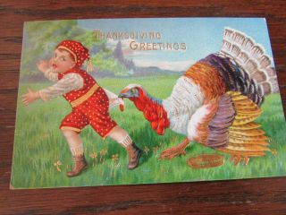Vintage Thanksgiving Greetings Turkey Chasing Boy Postcard