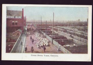 Chicago Illinois Il Union Stock Yards Ca 1905 Udb Vintage Postcard