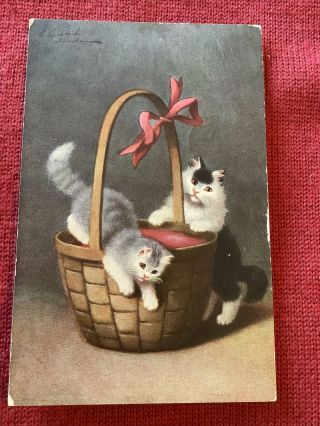Vintage Cat Kitten Postcard Playing In Antique Basket 1908