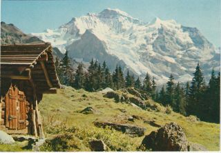 Switzerland - Berner Oberland,  Jungfrau - Vintage Postcard