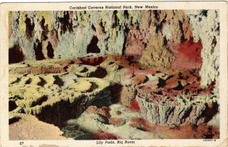 Vintage Postcard Carlsbad Caverns National Park Lily Pads Big Room Mexico