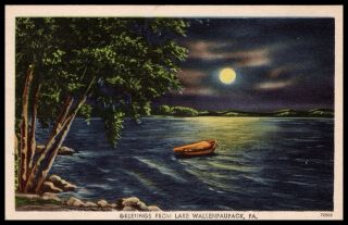 Greetings From Lake Wallenpaupack,  Pa.  Vintage Postcard Night View Of Lake Moon