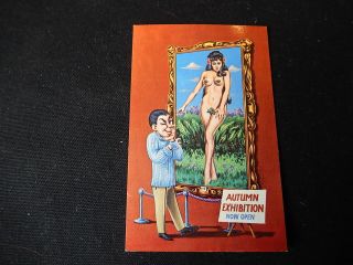 Vintage Xerxes Postcard,  " Naked Lady " In V.  G. ,  No,  100004,  1970s