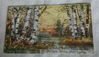 Vintage Postcard Silver Birch Trees Good Friends Stand Together