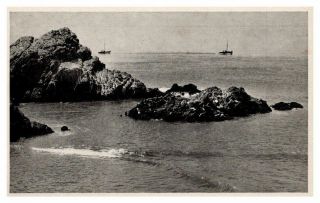 California Seal Rocks From Cliff House San Francisco Vintage Postcard B11g