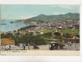 Madeira Funchal Portugal Vintage Postcard 639b