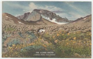 Colorado Postcard Longs Peak Vintage Antique Co Mountain View Linen Estes Park
