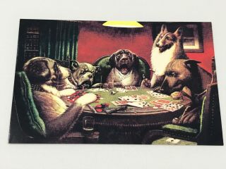 Vintage Dogs Playing Cards Poker Postcard Co.