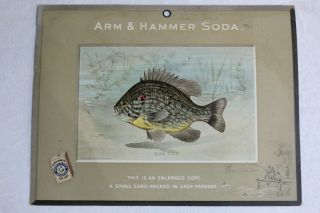 Arm & Hammer Collectible Cards Advertisement For 1900 Fish Set