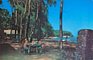 Vintage Chrome Postcard Picnicking Presque Isle State Park Erie Pa 1950s?
