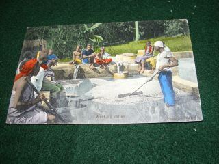 Vintage Postcard Washing Coffee Zomba Nyasaland 1914