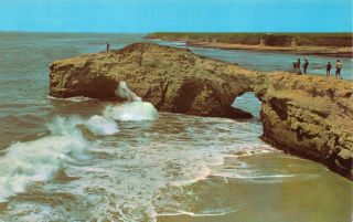 Natural Bridges State Park Santa Cruz California Vintage Postcard H01