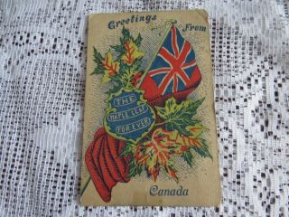 Vintage Postcard 1909 Greetings From Canada The Maple Leaf Forever Stamp