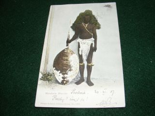 Vintage Postcard Matabele Warrior Traditional Dress Shield Braune & Levy 1907