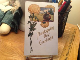 Vintage Thanksgiving Postcard Turkey Scene,  3 Large Yellowish Flowers