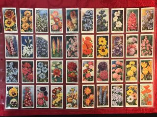 1939 W.  D.  & H.  O.  Wills Garden Flowers - Growing Flowers - Complete 50 Card Set - Nrmint