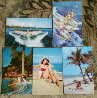 5 Vintage Florida Fl Postcards Cypress Gardens Ester Williams Aqua Maids Pin - Up